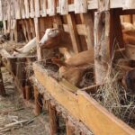 MVI_4044 - frame at 1m12s