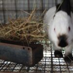 WhatsApp Image 2026-01-27 at 4.48.25 PM